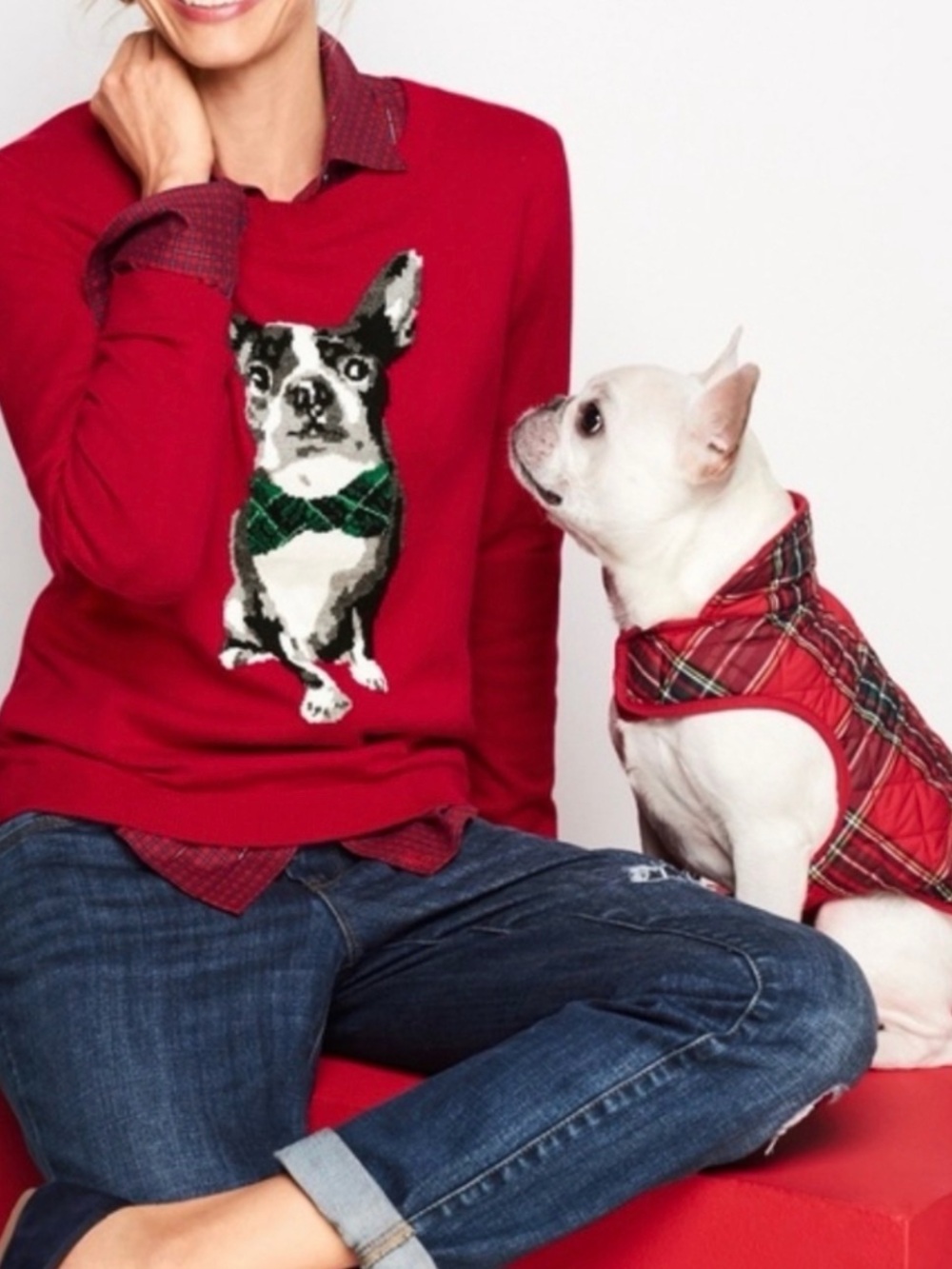 Talbots Red Sweater with Dog in bow tie